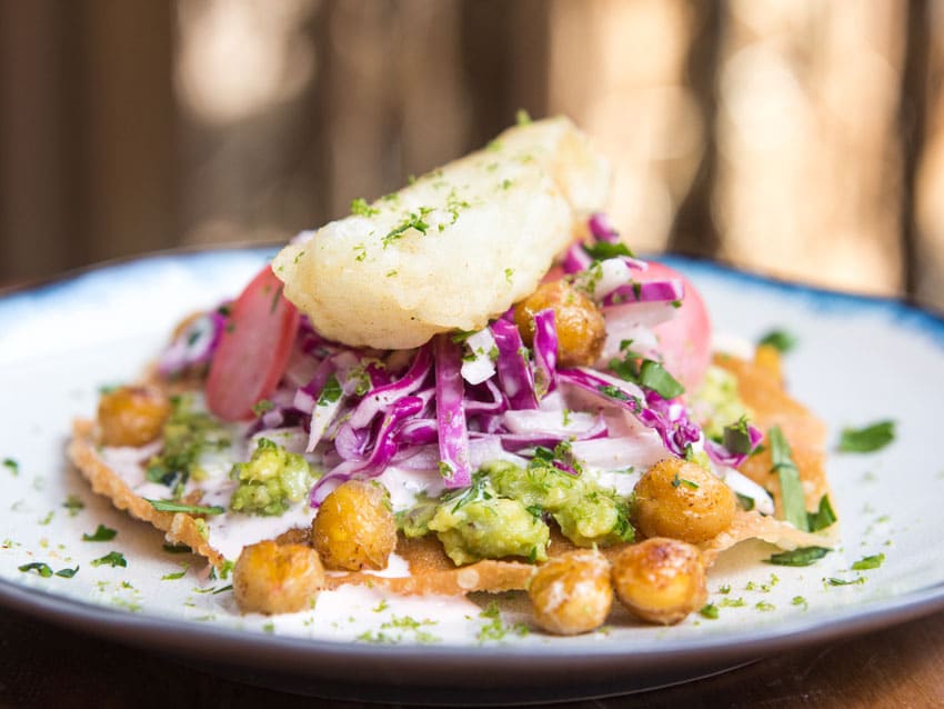 Fish tostada