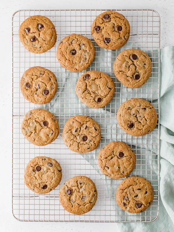 chocolate chip cookie