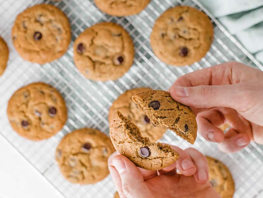 chocolate chip cookies